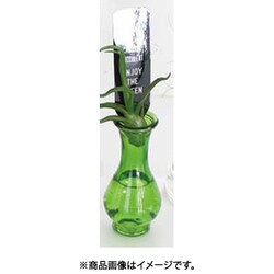 ヨドバシ Com スパイス Nalg50gr 花瓶 タイニーガラスフラワーベース No 02 グリーン 通販 全品無料配達