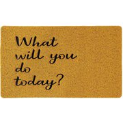 CWLN2931 [玄関マット 屋内屋外両用 ふかふかテラスマット What will you do today Sサイズ 45×75cm]