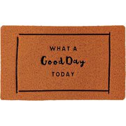 CWLN2941 [玄関マット 屋内屋外両用 ふかふかテラスマット WHAT A Good Day TODAY Sサイズ 45×75cm]