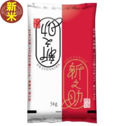 新潟県産新之助5kg 令和7年産