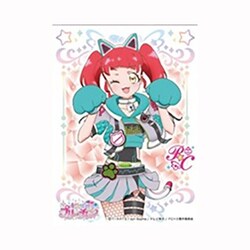 キラッとプリ☆チャン 赤城あんな キャラフォロチケ➂ Amazon | エンスカイ キャラクタースリーブ キラッとプリ