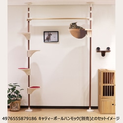 【送料込み】キャティーポール&キャティ ーskyウォークのセット商品 JALとっておきの逸品｜Nekoリビング キャティーポールハンモック