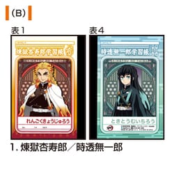 ホメオパシー　学習者用　専門書　セット ホメオパシー 学習者用 専門書 セット