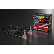 F50DFLB [フォグランプ用LEDバルブ（ホワイト・イエローデュアルカラー） 6500K/2400K 12V/24V 12W 2500lm H8/11/16 車検対応 2個入り]