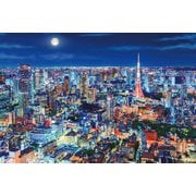 12-514s 心にのこる輝きの風景 煌めく東京の夜 [ジグソーパズル めざせ！パズルの達人 光るパズル 1000ピース（完成サイズ：50×75cm）]