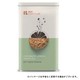 ROY Chocolate ココナッツレモン トリュフチョコ
