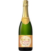 ザ・チョーヤ ウメサルーテ 750ml [果実酒]