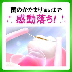 ヨドバシ Com 花王 Kao ピュオーラ ピュオーラgran フロス 2wayタイプ デンタルフロス 通販 全品無料配達