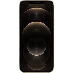 ヨドバシ.com - アップル Apple iPhone 12 Pro Max 256GB ゴールド SIMフリー [MGD13J/A]  通販【全品無料配達】