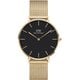Petite EVERGOLD Gold 36mm ブラック 正規品 2年保証 DW00100345