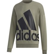13267-GK0618-J/L [adidas（アディダス） M FAVOURITES ビッグロゴ スウェット]