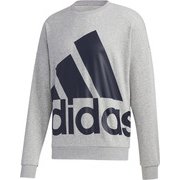 13267-GK0620-J/O [adidas（アディダス） M FAVOURITES ビッグロゴ スウェット]