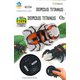 IRC 走る！！昆虫シリーズ 第2弾 12 クワガタ虫 本体充電式 [ラジコン]