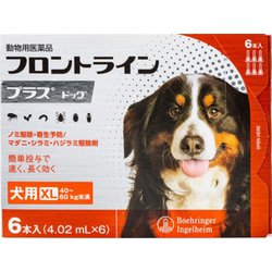 フロントラインプラス 犬用 XL 40～60kg未満 6本入 [犬用医薬品 ノミ・マダニ駆除]