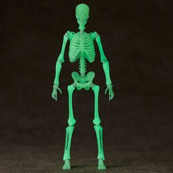 KAIYODO 自在置物 骨格フィギュア