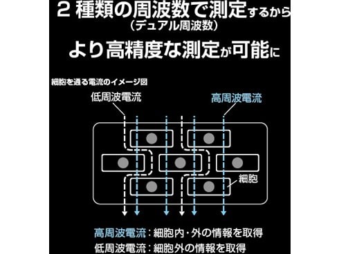 ヨドバシ.com - タニタ TANITA 体組成計 インナースキャン