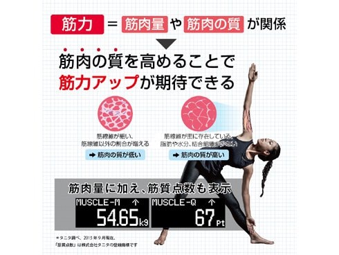 【週末限定値下げ】タニタ体組成計　TANITA RD-803-L 左右部位別体組成計 インナースキャンデュアル RD-803L | タニタ