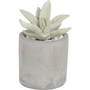 G875-959-CG [アロマグッズ DULTON アロエフレグランスディフューザー 多肉植物 アロエ]