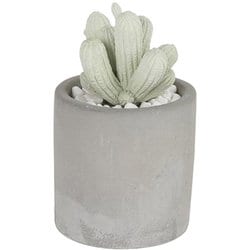 G875-959-SF [アロマグッズ DULTON アロエフレグランスディフューザー 多肉植物 カクタス]