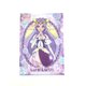 ヒーリングっどプリキュア クリアファイル キュアアース [キャラクターグッズ]