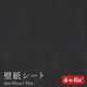 DS8587 [ドイツ製 粘着シート 207-8587 サンド調 黒]