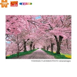 ヨドバシ.com - エポック社 EPOCH 10-817s 日本の風景 桜に染まる権現 