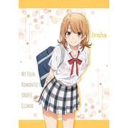 やはり俺の青春ラブコメはまちがっている。完 描き下ろし B2タペストリー 雨宿りVer. 一色 いろは [キャラクターグッズ]