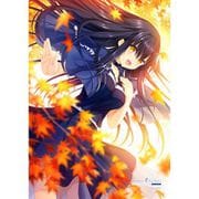 Summer Pockets REFLECTION BLUE B2タペストリー 久島鴎/紅葉 [キャラクターグッズ]