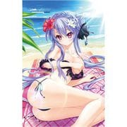 Summer Pockets REFLECTION BLUE タオルケット 空門蒼/水着 [キャラクターグッズ]