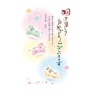 年賀はがき スタンダードカラー 5P NO.2 A02