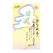 年賀はがき スタンダードカラー 5P NO.10 A10