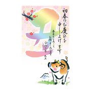 年賀はがき スタンダードカラー 5P NO.13 A13