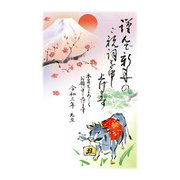 年賀はがき スタンダードカラー 5P NO.14 A14