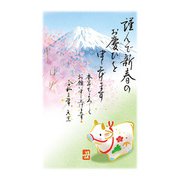 年賀はがき スタンダードカラー 5P NO.19 A19