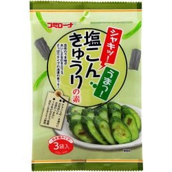 塩こんきゅうりの素 39g