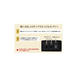 ヨドバシ.com - セルスター PI-500/12 [DC12V車専用 パワー