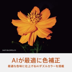 ヨドバシ.com - OPPO オッポ OPPO A73（オッポ エーナナサン 