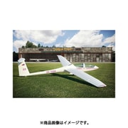 HAUBRP48006 DG-1000S グライダー アクビー [1/48スケール プラモデル]