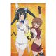 ダンジョンに出会いを求めるのは間違っているだろうか III B2タペストリー ヘスティア＆リリルカ・アーデ [キャラクターグッズ]