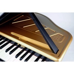 ヨドバシ.com - 河合楽器 KAWAI 1191 ミニグランドピアノ