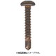 MUSE タップネジステン ブロンズ ナベ4x30 500入