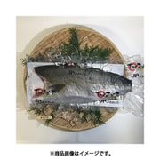 大分県産 海の匠カンパチ フィレ 約1.0kg～1.2kg [産地直送品]