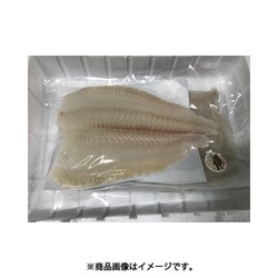 ヨドバシ Com 海の匠 大分県産 海の匠ヒラメ スキンレスロイン 約0 5 0 6kg 産地直送品 通販 全品無料配達