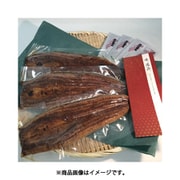 愛知三河産 うなぎ蒲焼 大サイズ 3尾セット [産地直送品]