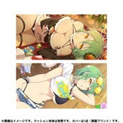 シノビマスター 閃乱カグラ NEW LINK ロングクッションカバー 日影 [キャラクターグッズ]