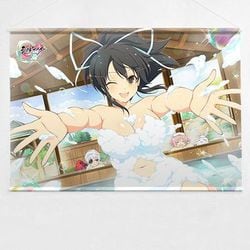 ヨドバシ.com - カーテン魂 シノビマスター 閃乱カグラ NEW LINK B2