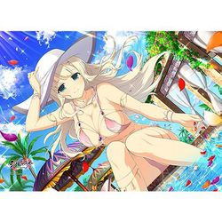 ヨドバシ.com - カーテン魂 シノビマスター 閃乱カグラ NEW LINK B2タペストリー 詠/水着2019 [キャラクターグッズ]  通販【全品無料配達】