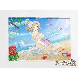 カーテン魂 シノビマスター 閃乱カグラ NEW LINK - ヨドバシ.com