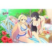 シノビマスター 閃乱カグラ NEW LINK タオルケット 斑鳩&葛城 [キャラクターグッズ]