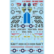 CD48168 アメリカ海軍 F-14トムキャット ザ・アーリー・イヤーズ デカール [1/48スケール デカール]